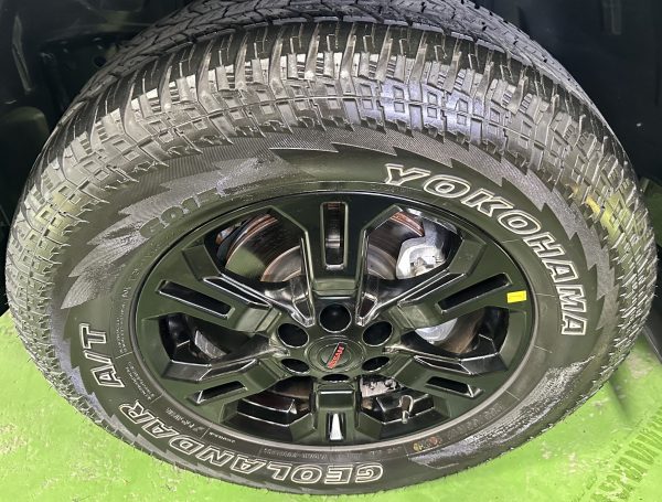 2024 Nissan Navara Pro-4X 4X4 Diesel A/T - Image 22