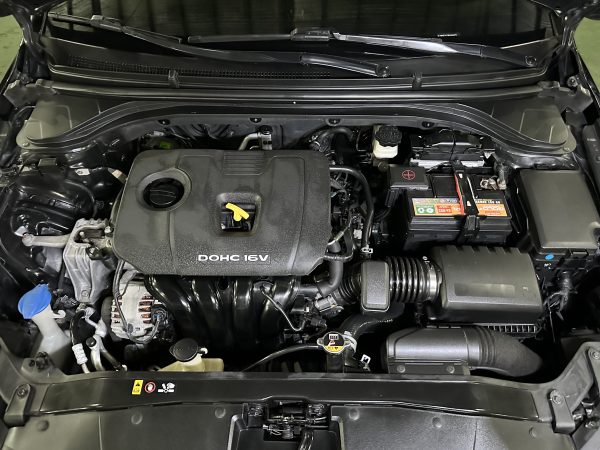 2016 Hyundai Elantra 2.0L Gasoline A/T - Image 18